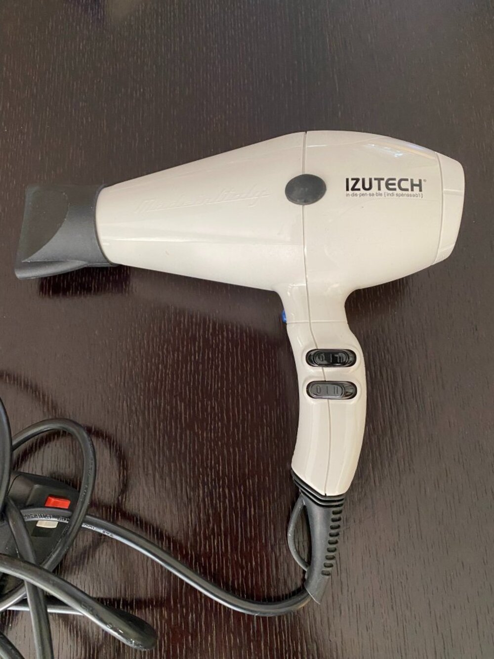 Izutech TRX4000  2000 Watt Hair Blower